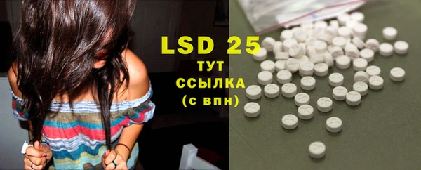 PSILOCYBIN Богородицк