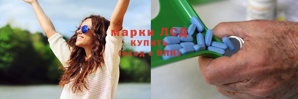 PSILOCYBIN Богородицк