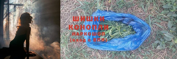 крисы Богданович