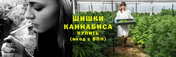 PSILOCYBIN Богородицк