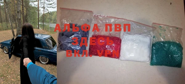 PSILOCYBIN Богородицк
