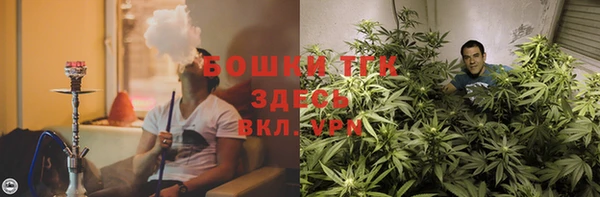 крисы Богданович