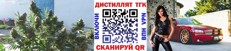 даркнет телеграм  Подольск  ТГК концентрат  где можно купить наркотик 